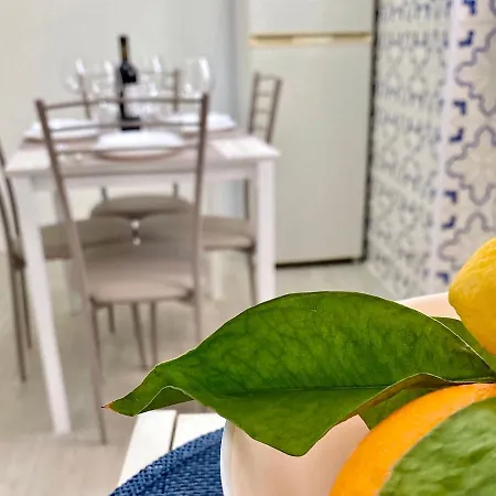 Majolica Panoramic 公寓 *